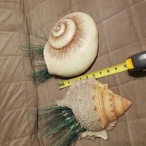 2 SEASHORE Beachy look wall vases
